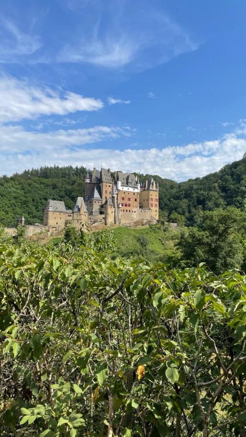 Moderne Ferienwohnung Black Beauty Auf Idyllischem Reiterhof Naehe Burg Eltz Münstermaifeld Eksteriør billede